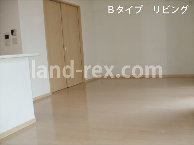 アーバネックス阿倍野松崎町 内装写真7